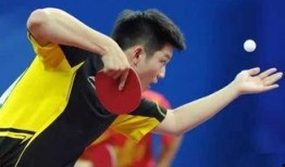 乒乓球圈内人爆料视频在线观看,乒乓球高手爆料视频在线观看，精彩瞬间不容错过